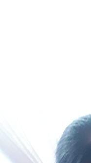 Rencontre Femme Russe - Tatyana 41 ans - VN2298 - Photo 6