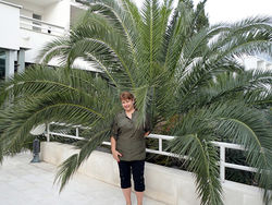 Rencontre Femme Russe - Elena 53 ans - UI818 - Photo 5