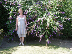 Rencontre Femme Russe - Larisa 62 ans - UI876 - Photo 5